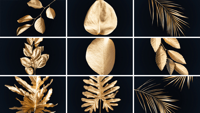 overzicht van golden leaves collectiebeelden