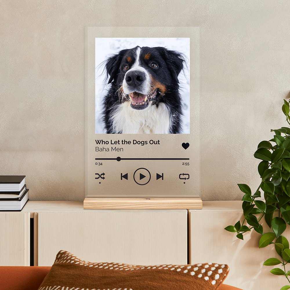 Muziekbordje