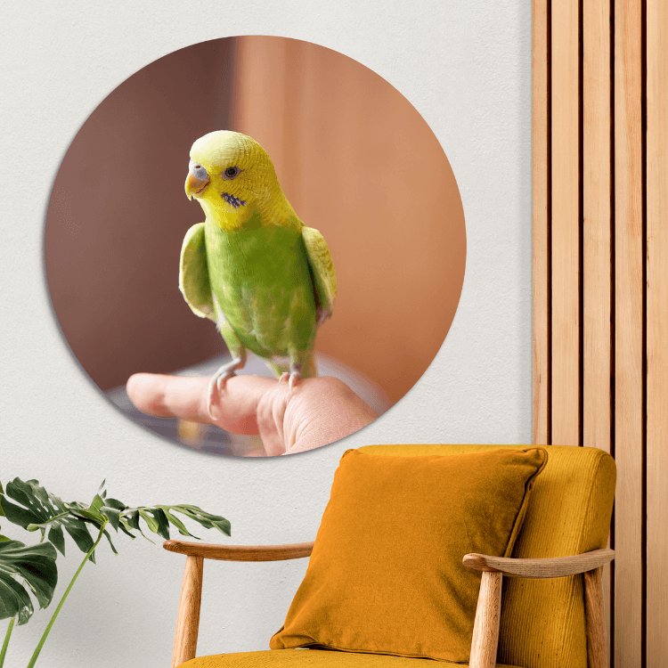 wandcirkel vogel