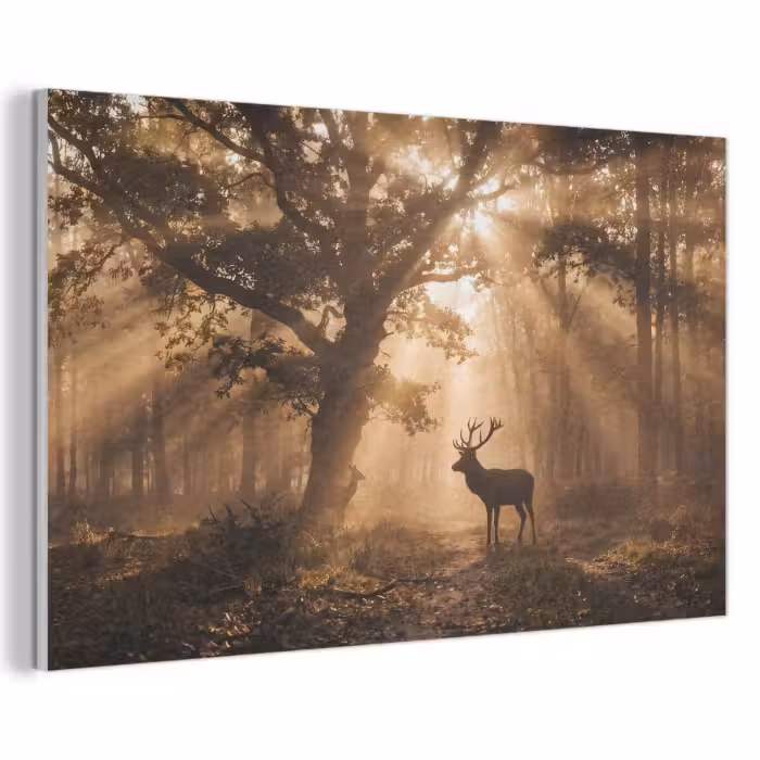 Akoestisch schilderij - Hert - Bos - Mistig - Natuur - Goud