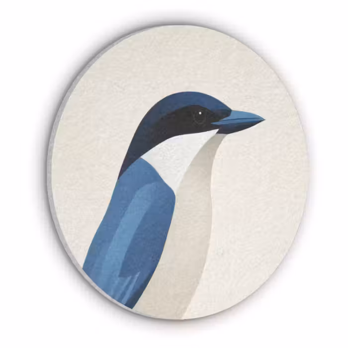 Akoestisch schilderij rond - Illustratie - Blauw - Vogel
