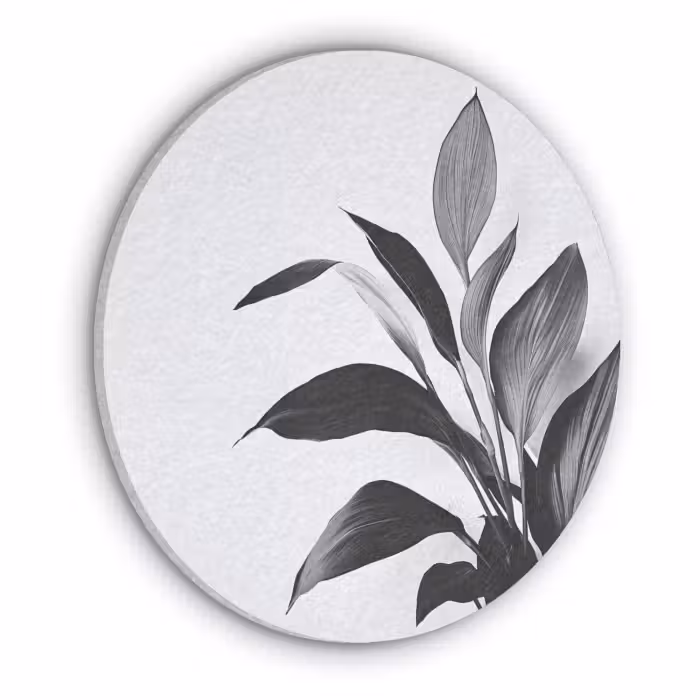 Akoestisch schilderij rond - Plant - Bladeren - Minimalistisch - Zwart
