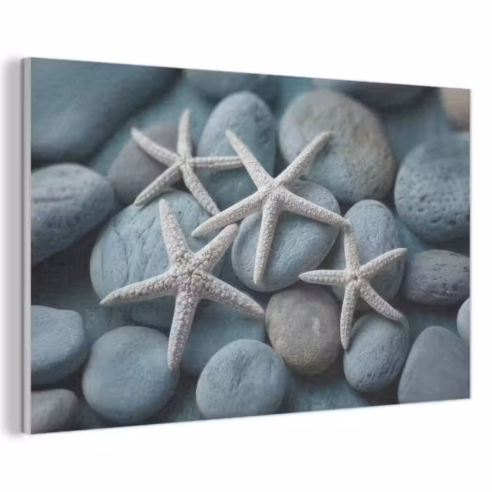 Akoestisch schilderij - Zeesterren - Stenen - Wit