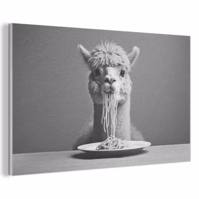 Akoestisch schilderij - Alpaca - Pasta - Zwart - Wit - Grappig - Dieren