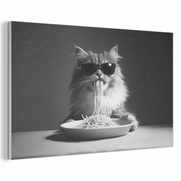 Akoestisch schilderij - Langharige kat - Zonnebril - Spaghetti - Humor - Zwart - wit