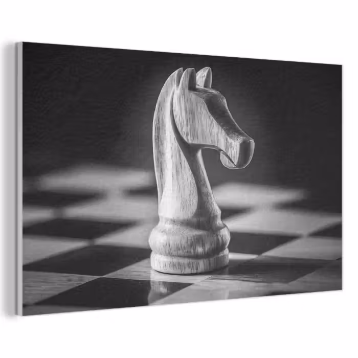 Akoestisch schilderij - Paard - Hout - Schaalbord - Zwart