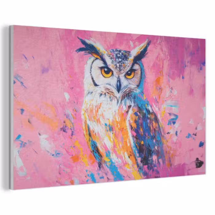 Akoestisch schilderij - Uil - Roze - Blauw - Verf - Abstract