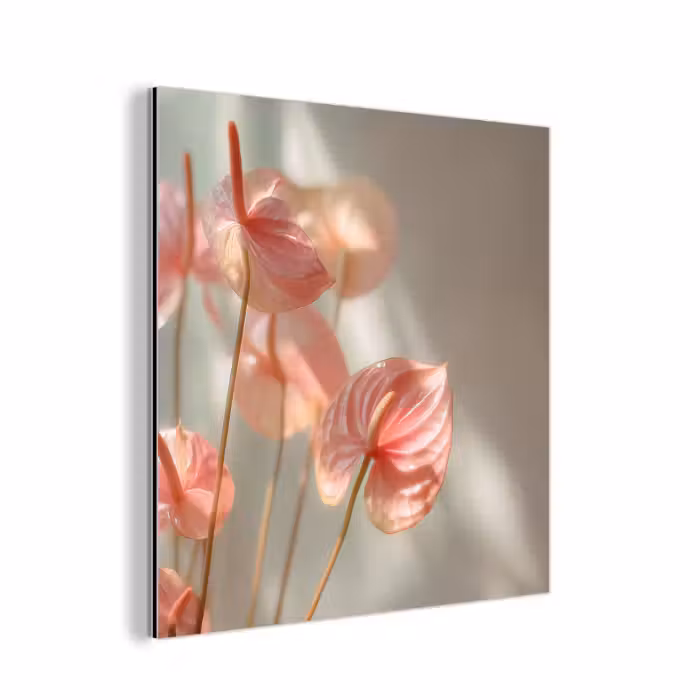 Aluminium schilderij - Bloemen - Stelen - Roze - Schaduw