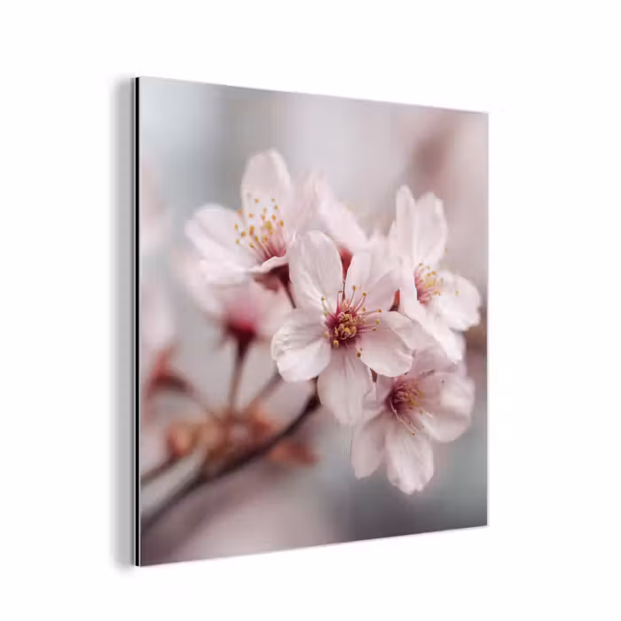 Aluminium schilderij - Bloesems - Meeldraden - Geel - Wazig