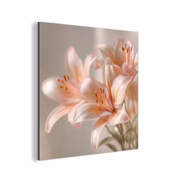 Aluminium schilderij - Lelies - Meeldraden - Roze - Wazig