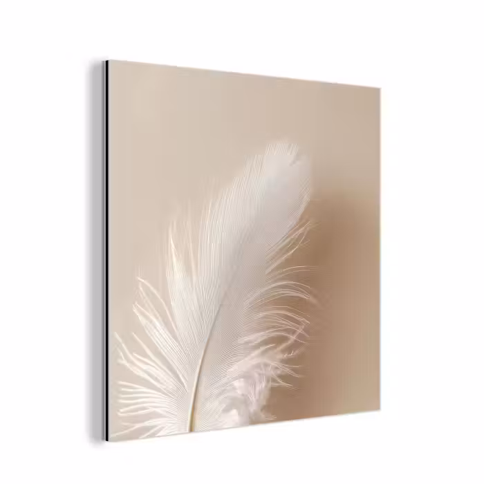 Aluminium schilderij - Veer - Minimalistisch - Roze