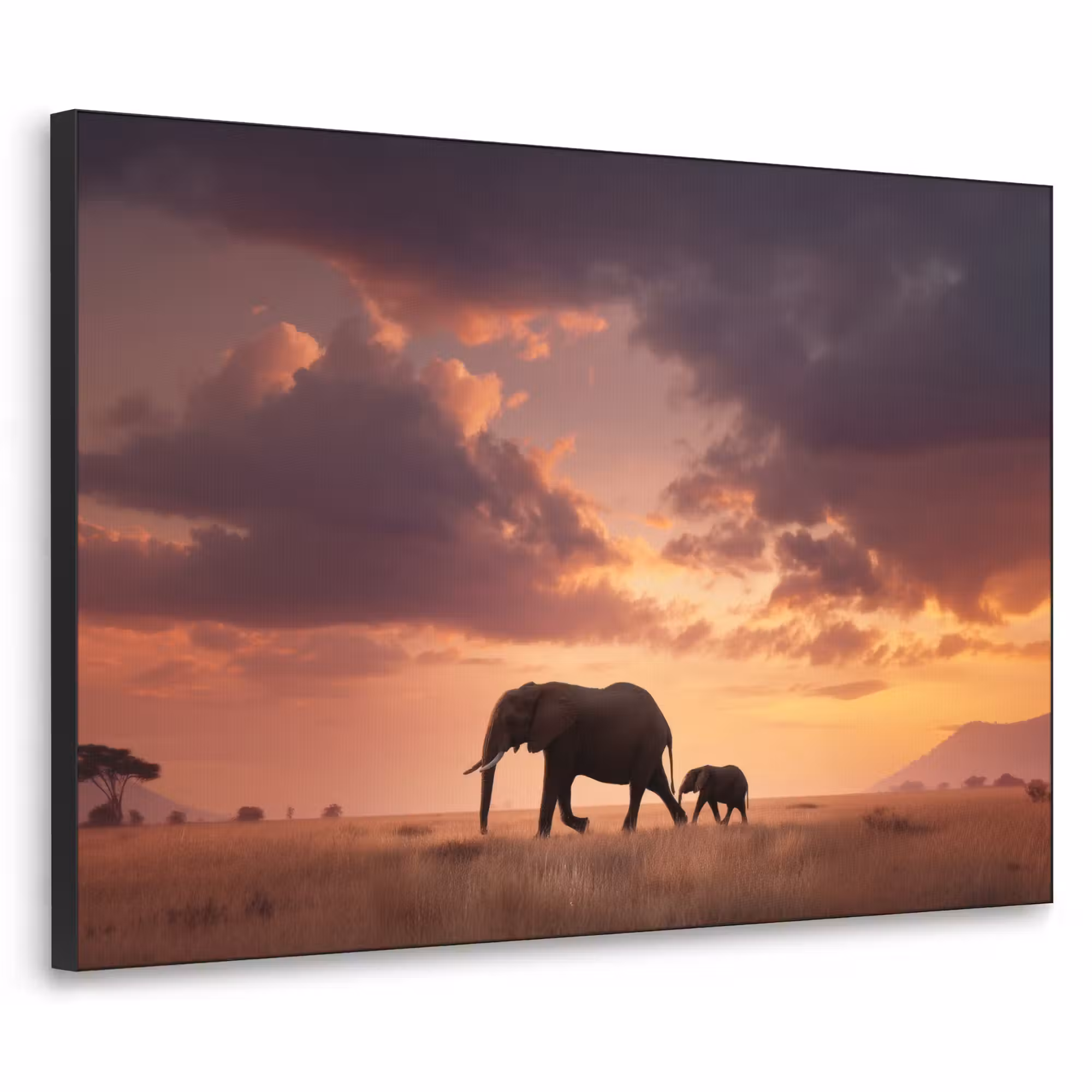 Art Frame - Olifanten - Grasland - Zonsondergang
