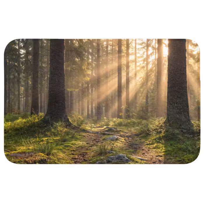 Badmat - Bos - Zonlicht - Gras