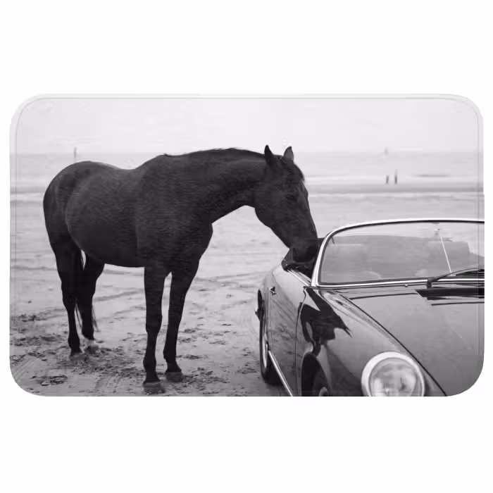Badmat - Paard - Auto - Zwart - Wit