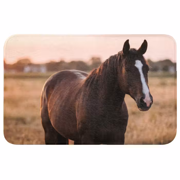 Badmat - Paard - Zonsondergang - Bruin