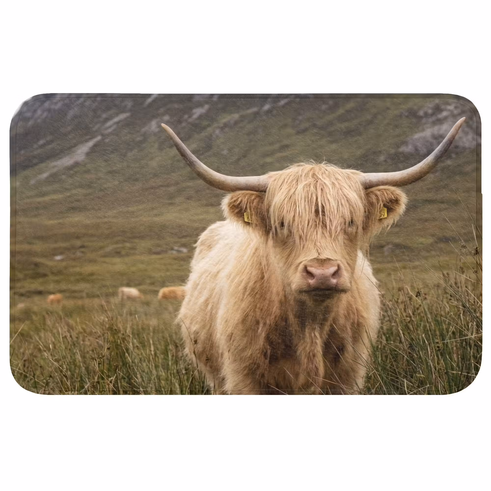 Badmat - Schotse hooglander - Bergen - Grasveld