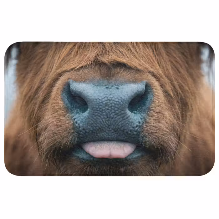 Badmat - Schotse hooglander - Neus - Bruin