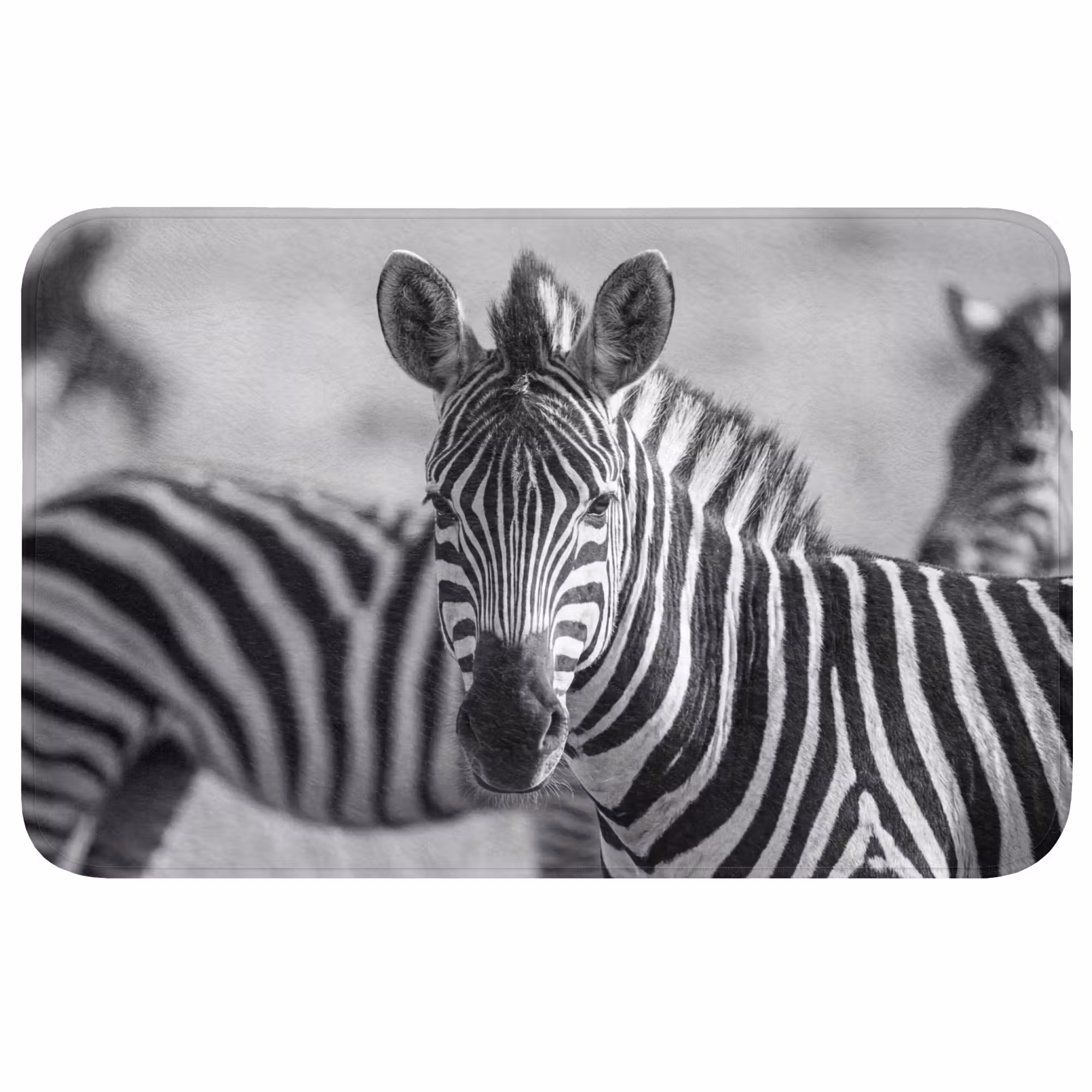 Badmat - Zebra's - Zwart - Wit