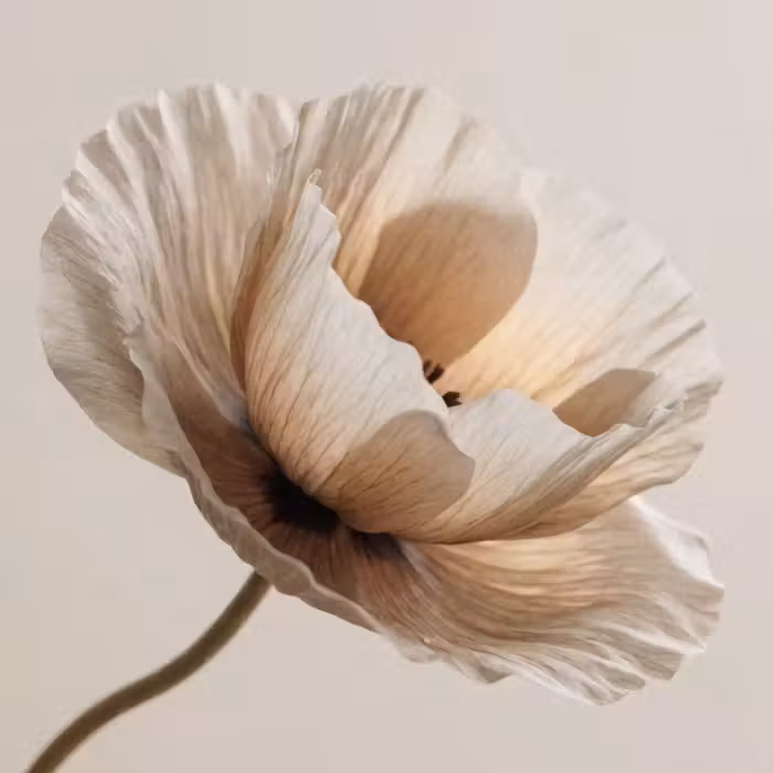 Behang - Bloem - Beige - Crème