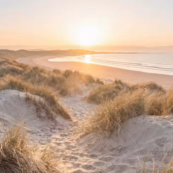 Behang - Duinen - Strand - Zee
