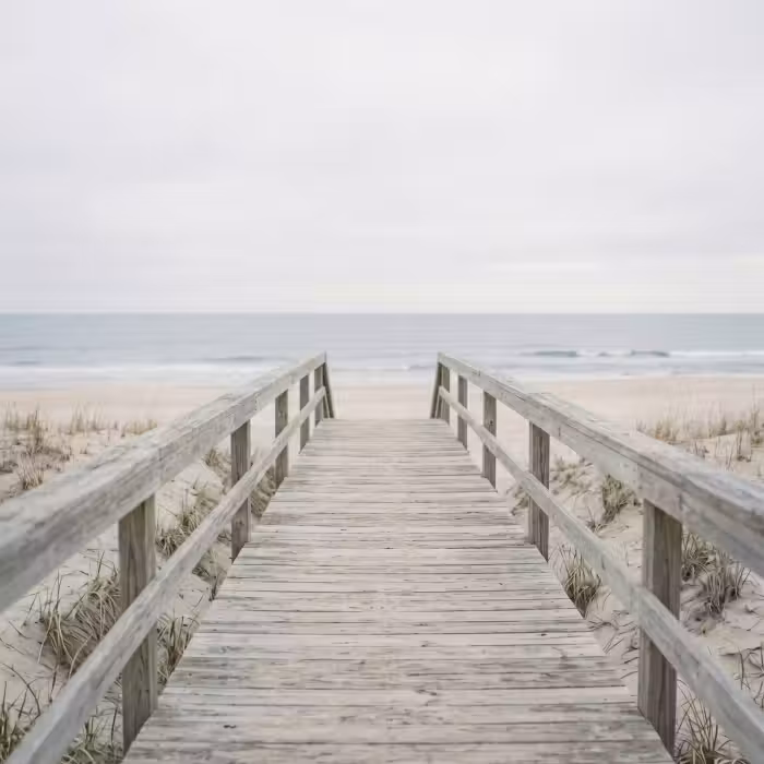 Behang - Duinen - Vlonder - Oceaan