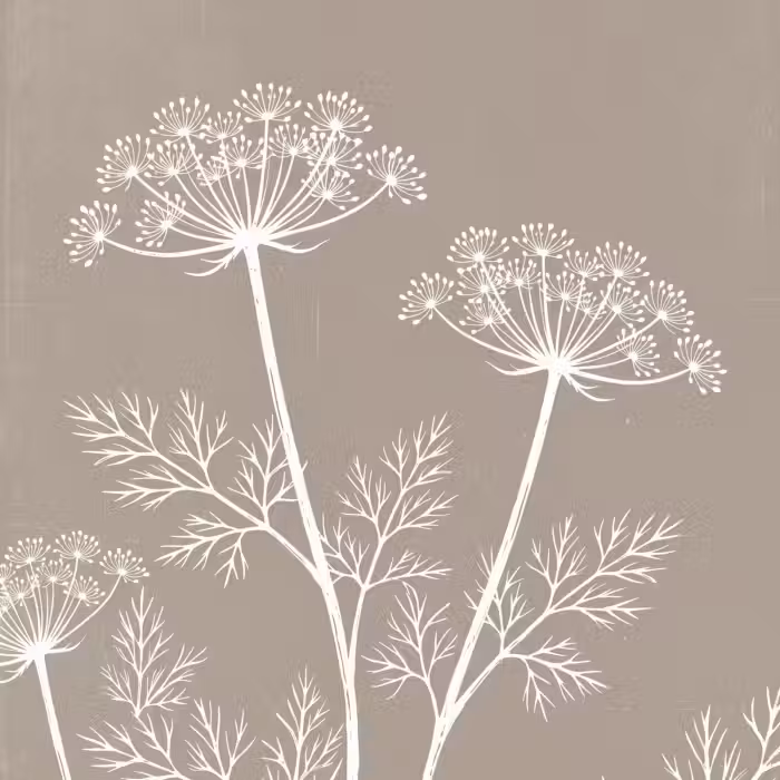 Behang - Grafisch - Fluitenkruid - Taupe