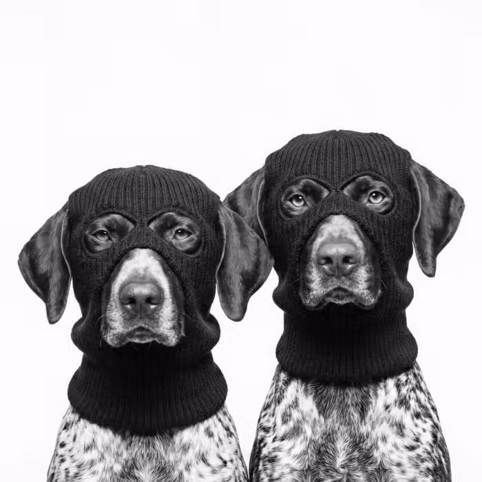 Behang - Honden - Bivakmuts - Zwart - wit