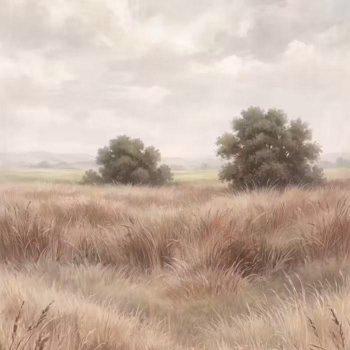 Behang - Landschap - Minimalistisch - Beige