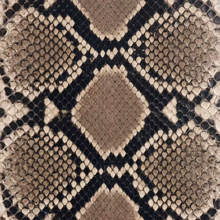 Behang - Slangenprint - Python - Bruin