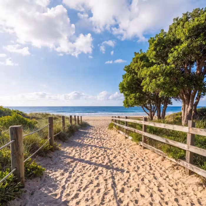 Behang - Strand - Zandpad - Oceaan - Natuur