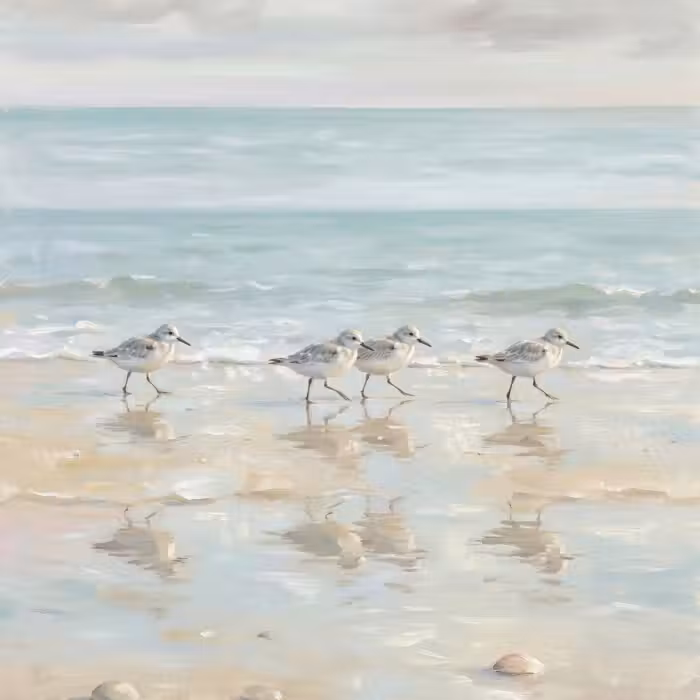 Behang - Vogels - Strand - Zee