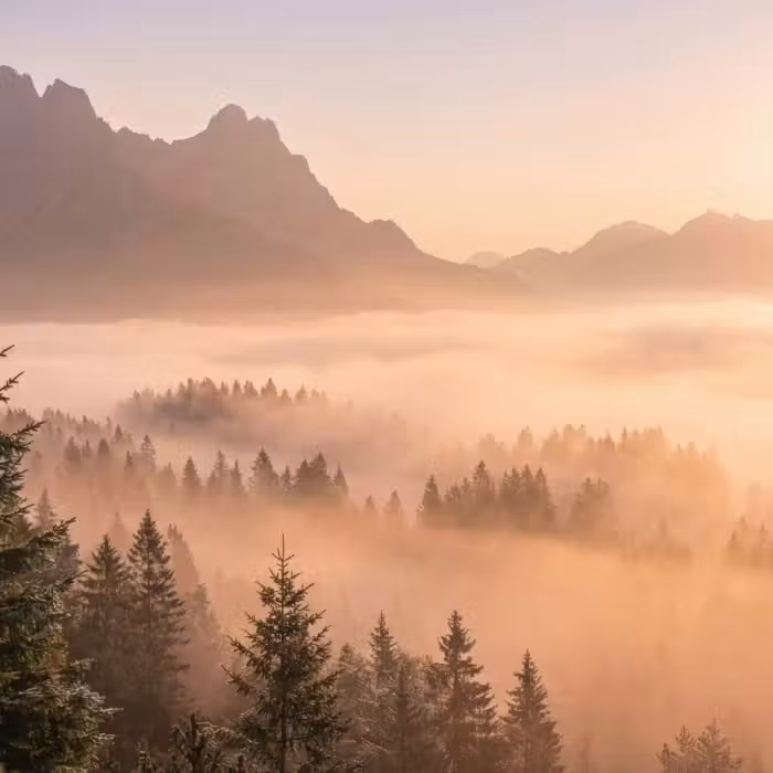 Behang - Zonlicht - Mist - Bergen - Bomen