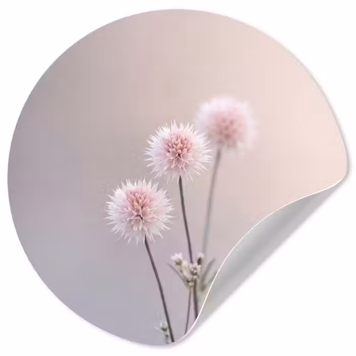 Behangcirkel - Bloemen - Bollen - Roze