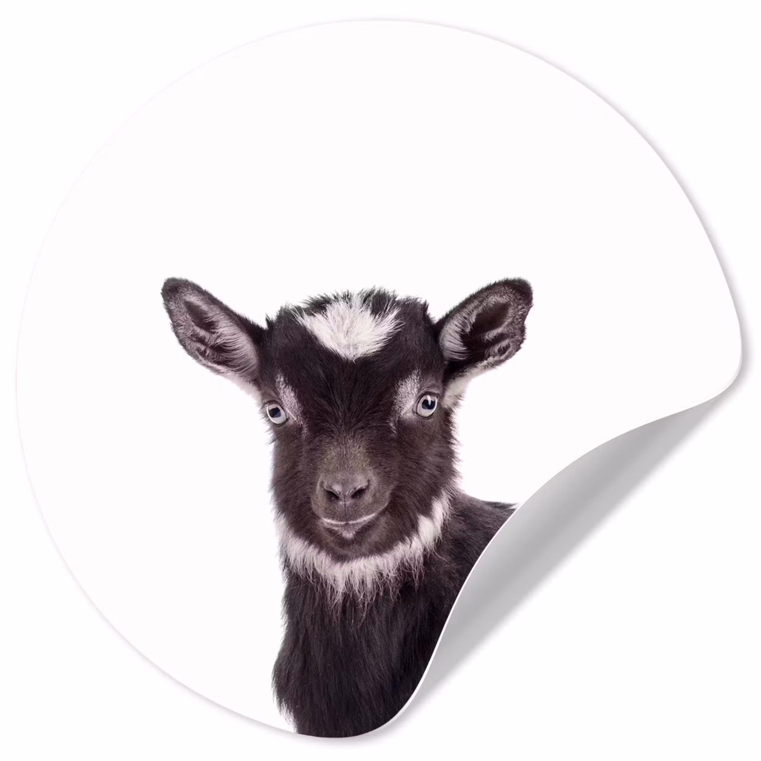 Behangcirkel - Boerderijdieren - Geit - Kind - Jongen - Meisjes