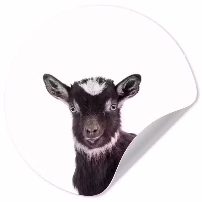 Behangcirkel - Boerderijdieren - Geit - Kind - Jongen - Meisjes