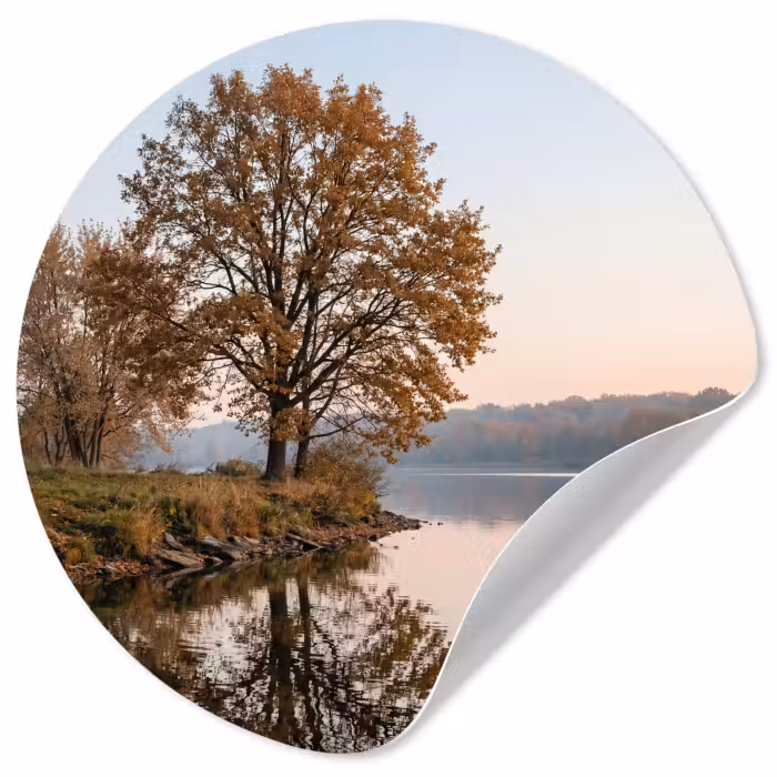 Behangcirkel - Bomen - Reflectie - Water - Zonsopgang - Serene
