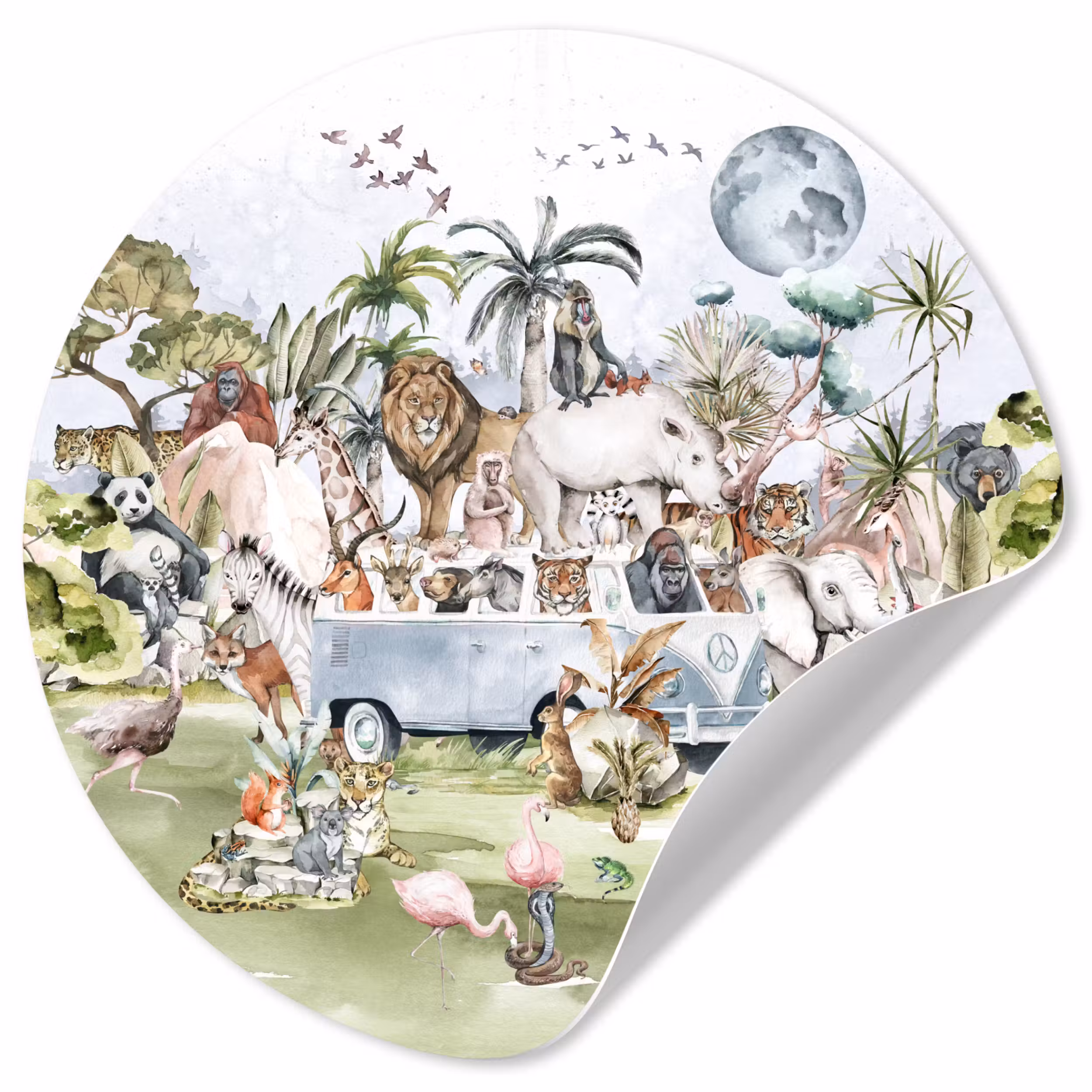 Behangcirkel - Jungle - Bus - Dieren - Kinderen - Planten