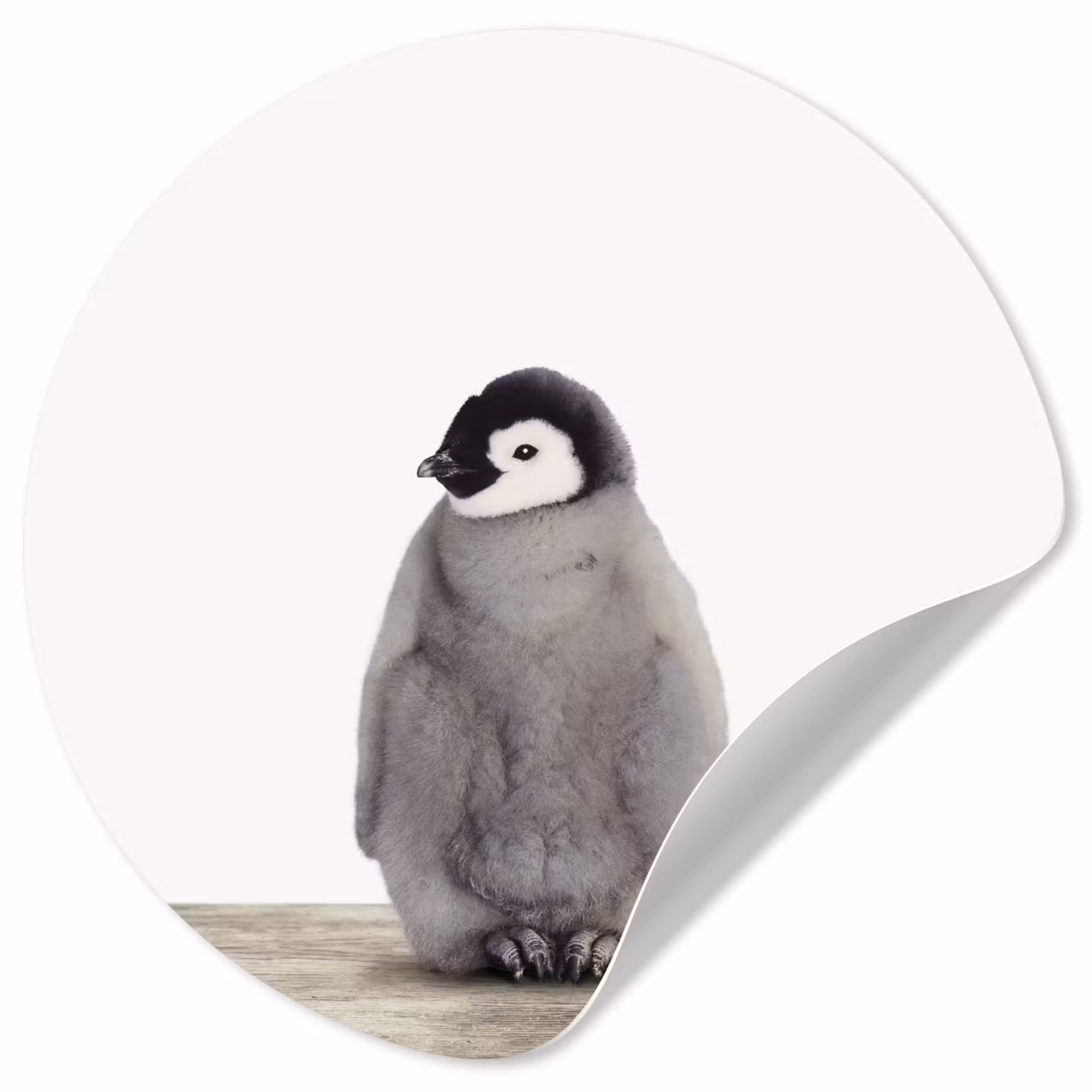 Behangcirkel - Kinderen - Pinguïn - Grijs - Dieren - Meisjes - Jongens