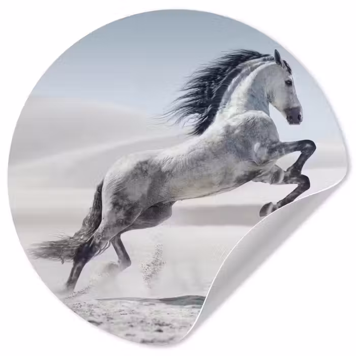Behangcirkel - Paard - Dieren - Zand - Natuur