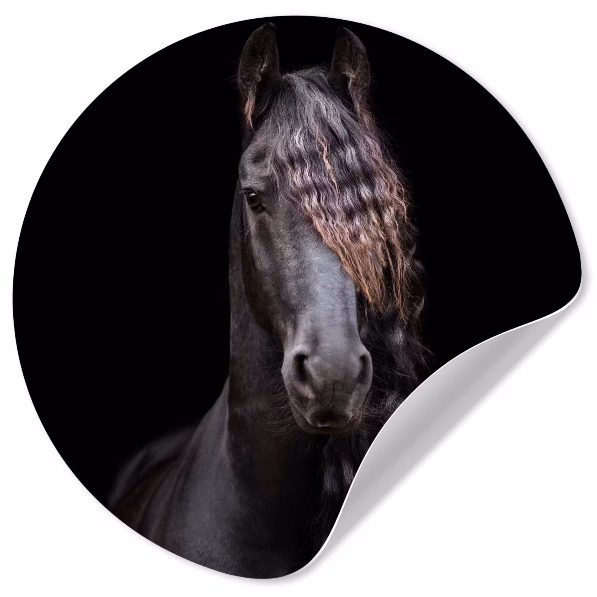 Behangcirkel - Paarden - Fries - Manen - Zwart - Dieren