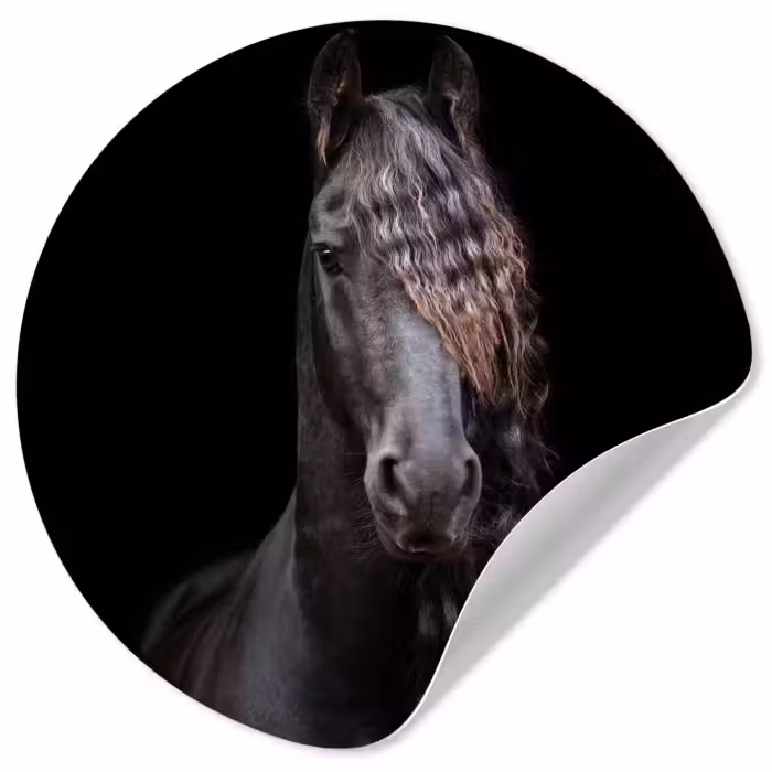 Behangcirkel - Paarden - Fries - Manen - Zwart - Dieren