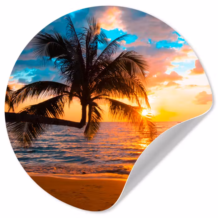 Behangcirkel - Palme - Sonnenuntergang - Horizont - Strand - Meer - Tropisch