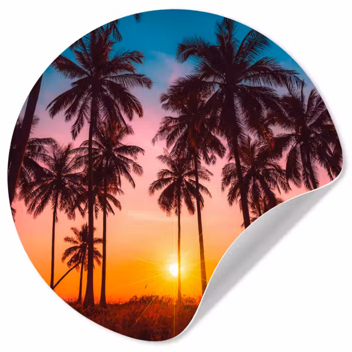 Behangcirkel - Palmboom - Zonsondergang - Horizon - Strand - Oranje - Roze