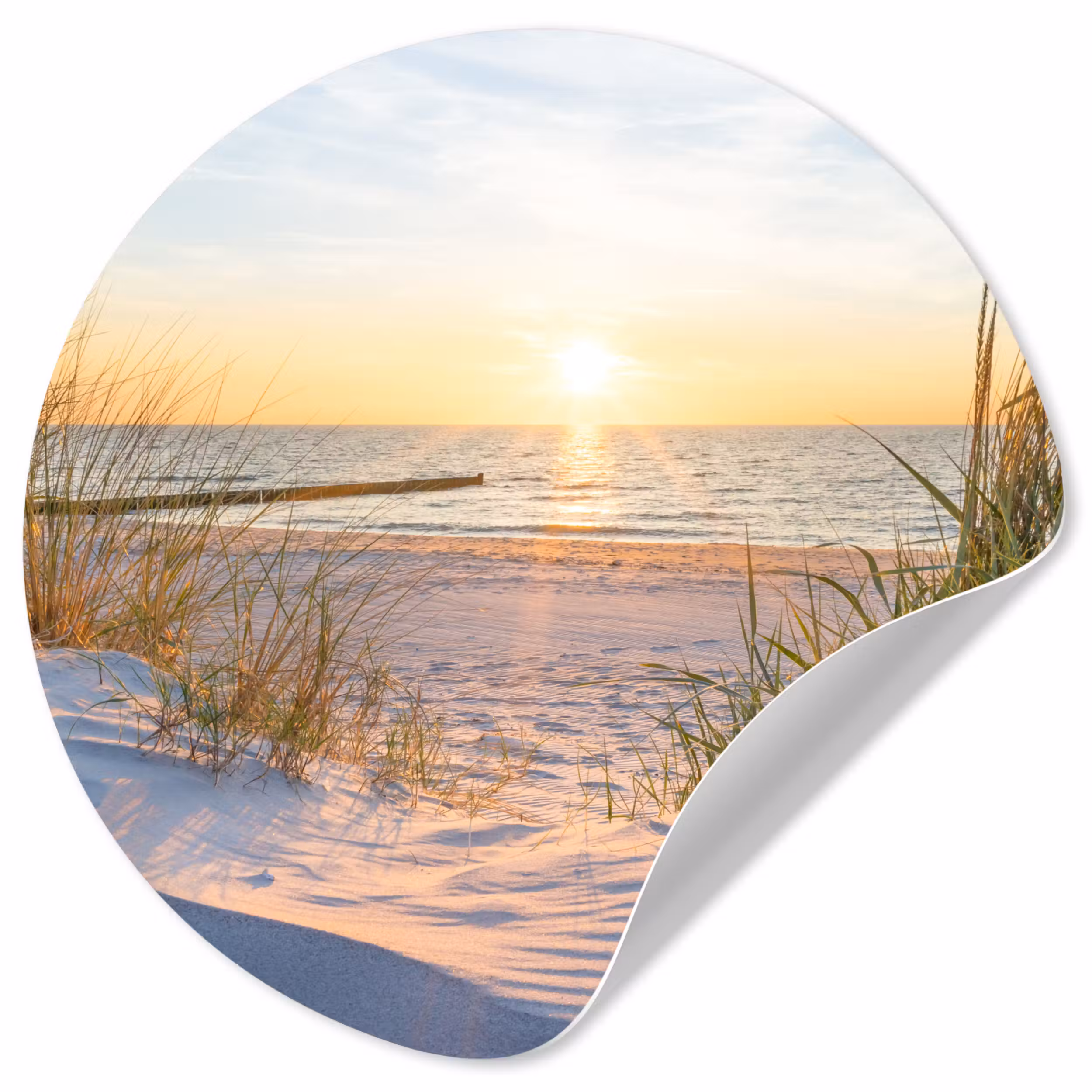 Behangcirkel - Strand - Zon - Duin - Gras - Zand - Horizon