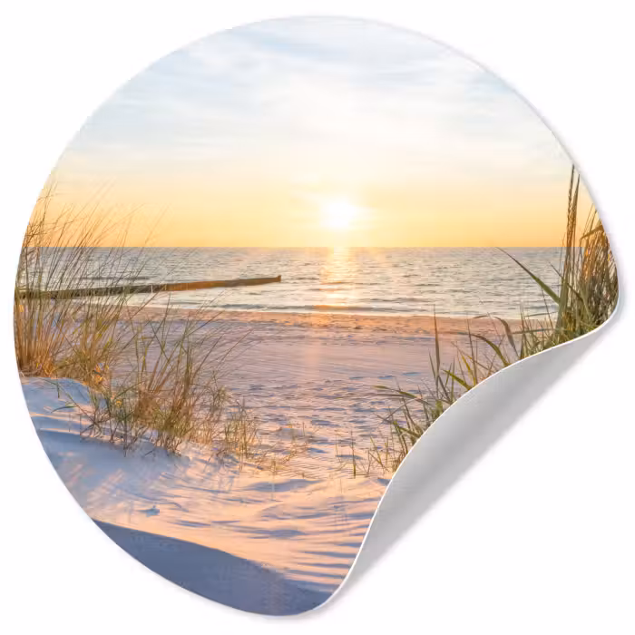 Behangcirkel - Strand - Zon - Duin - Gras - Zand - Horizon