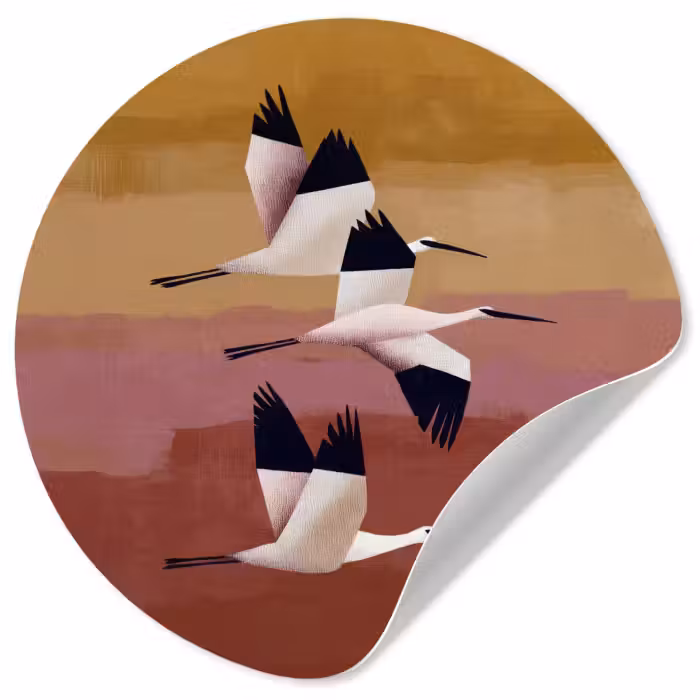Behangcirkel - Vogels - Snavel - Abstract