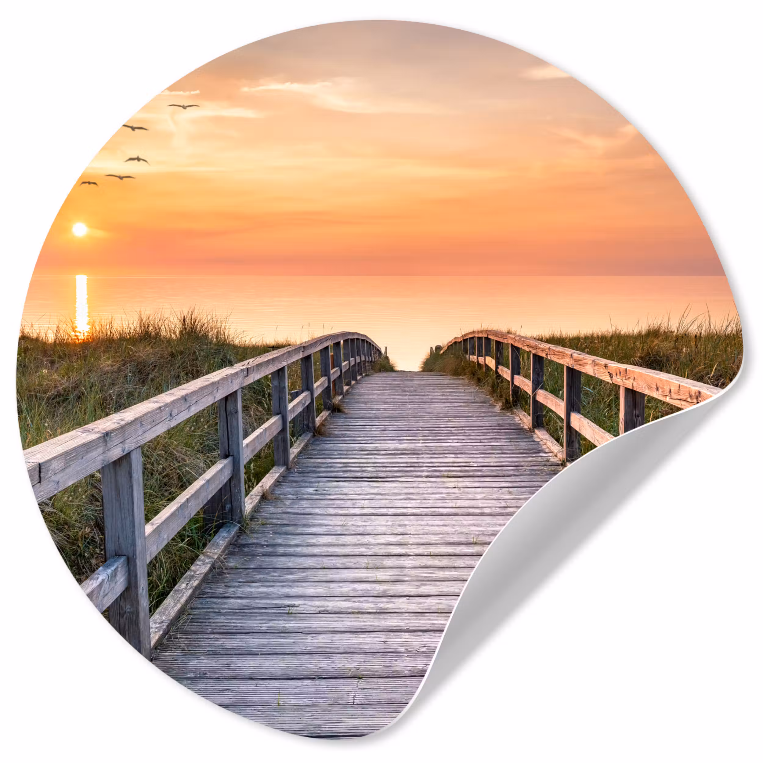 Behangcirkel - Zonsonderang - Zee - Pad - Gras - Duin - Vogels