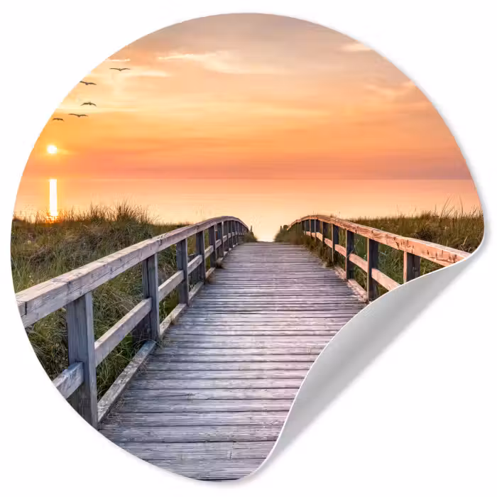 Behangcirkel - Zonsonderang - Zee - Pad - Gras - Duin - Vogels