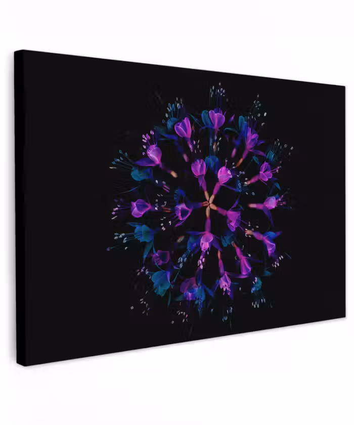 Buiten canvas - Bloem - Paars - Blauw - Macro - Zwart