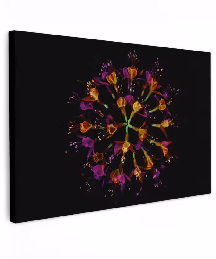 Buiten canvas - Bloemen - Oranje - Roze - Zwart